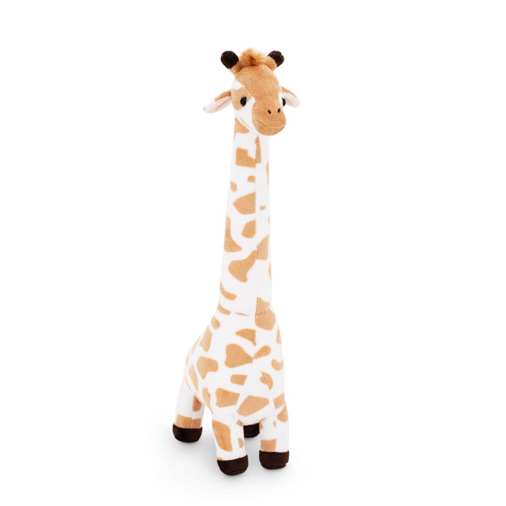 Giraffa